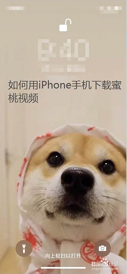 如何用iphone手机下载蜜桃视频 百度经验