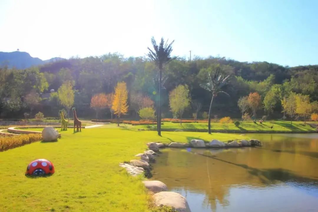山河已秋  奔赴山野
