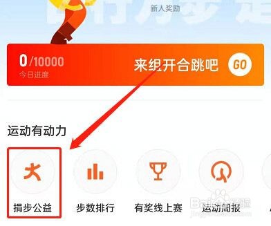 钉钉运动怎么组队捐步数