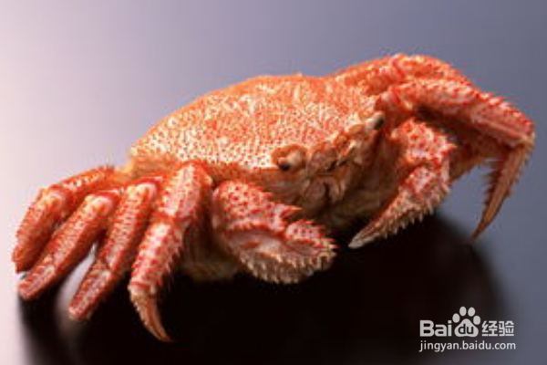 螃蟹没吃完剩下的怎么办