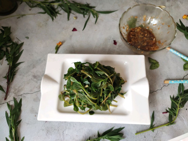 野味小菜凉拌马齿苋