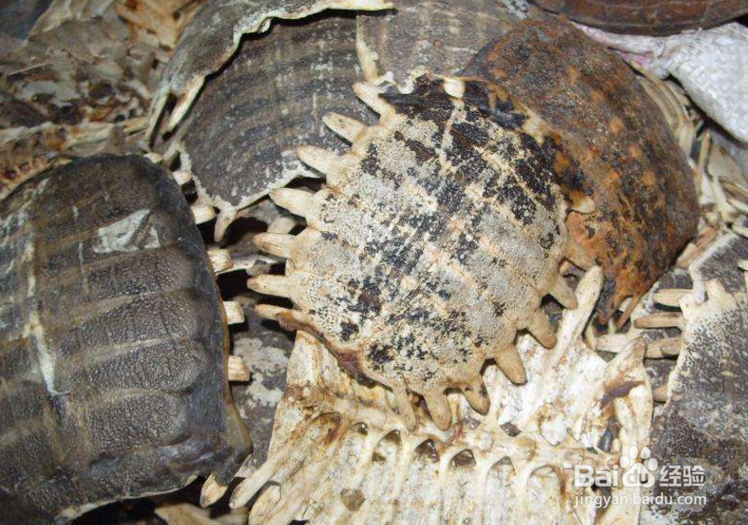 嗅觉失灵是什么原因?