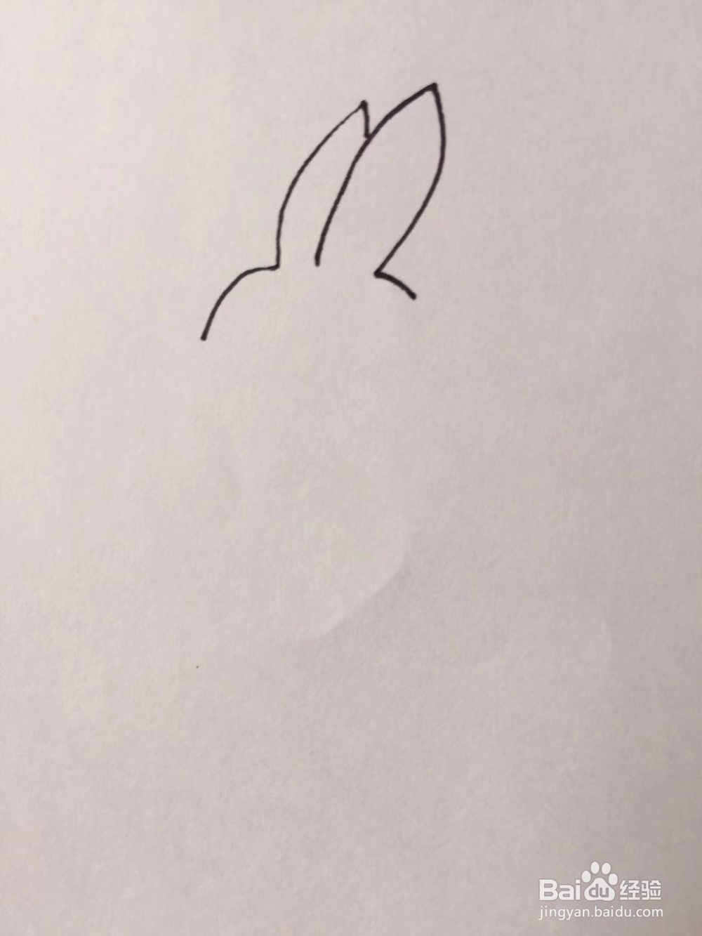 茉莉手绘之兔子