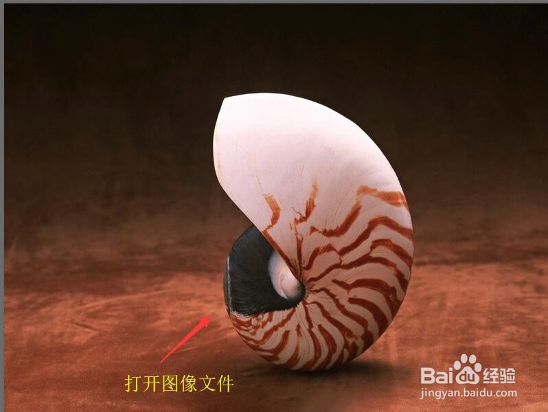 Photoshop 如何使用快速选择工具抠图