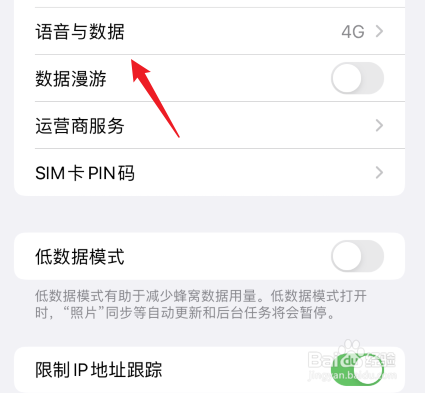 苹果网络怎么切换4g