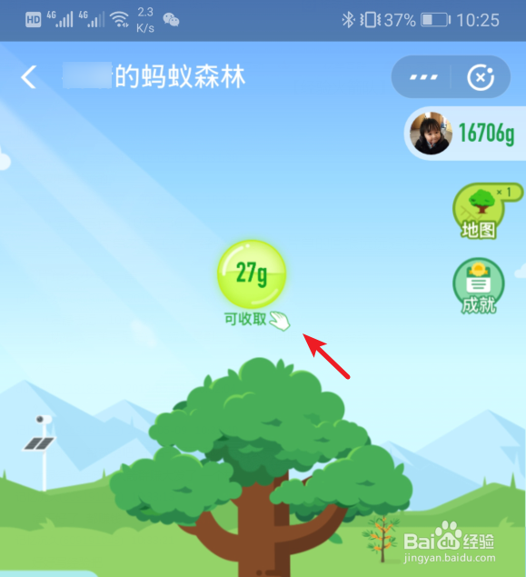 蚂蚁森林里需要能量最多的树种是什么?