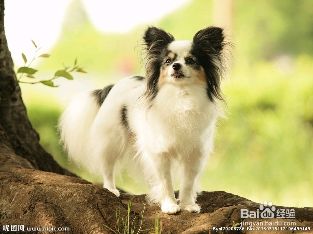 女人心灵减压秘籍