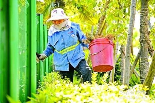 夏季怎样防治中暑？