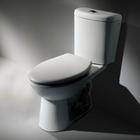 选购坐便器谨防美丽陷阱