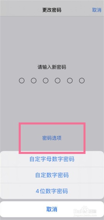 iPhone13系列在哪里使用四位数密码