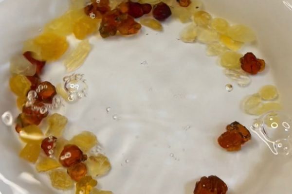 桃胶雪燕皂角米羹