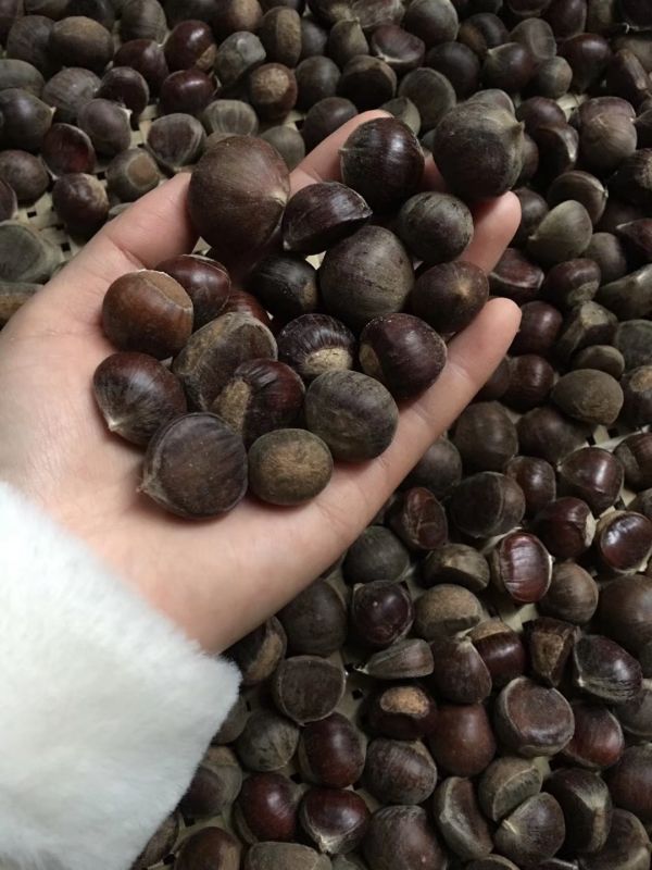 简单快速烤板栗