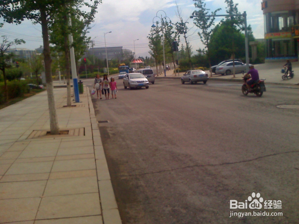 怎样告诉孩子安全过马路--12