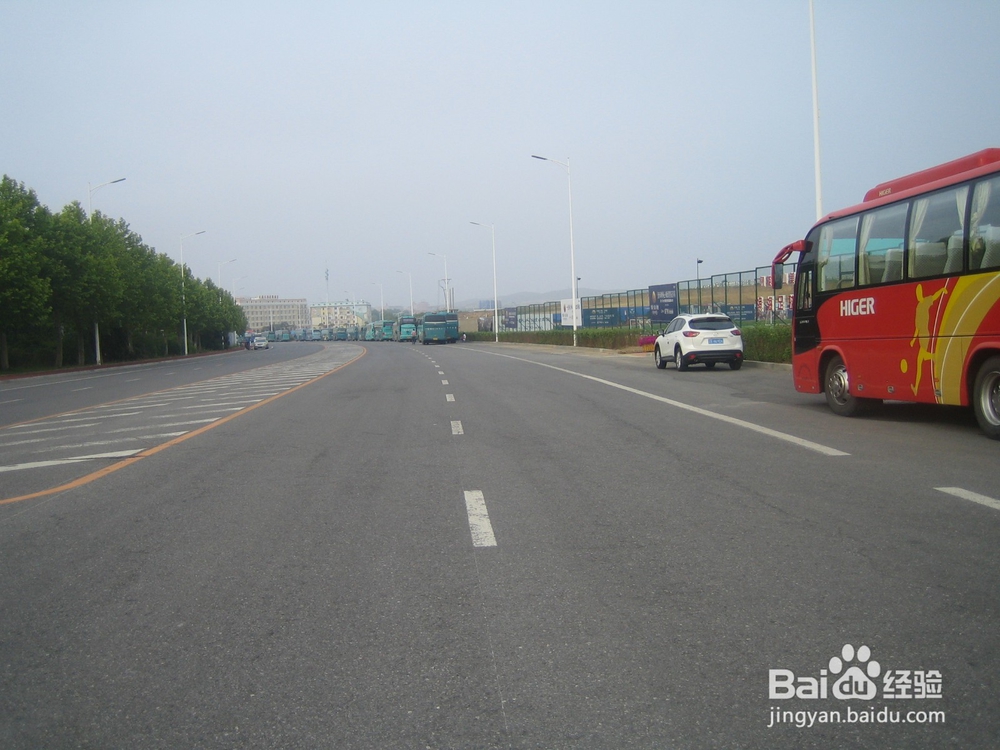 怎样告诉孩子安全过马路--26