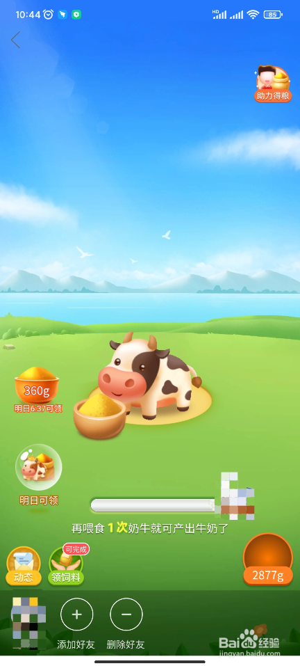 【多多牧场】怎样给奶牛喂饲料