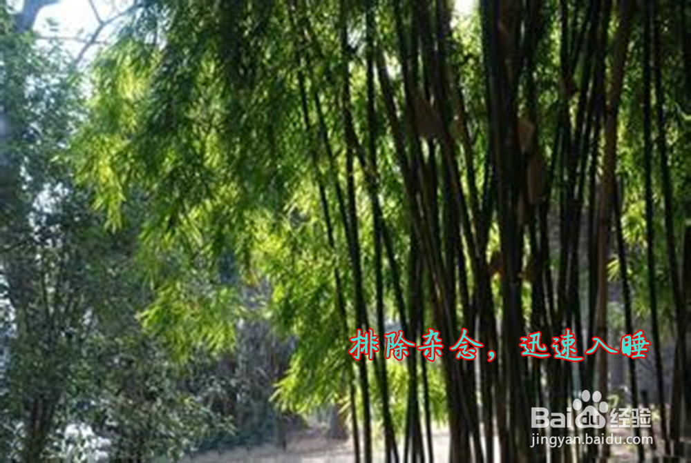 夏季午睡应坚持