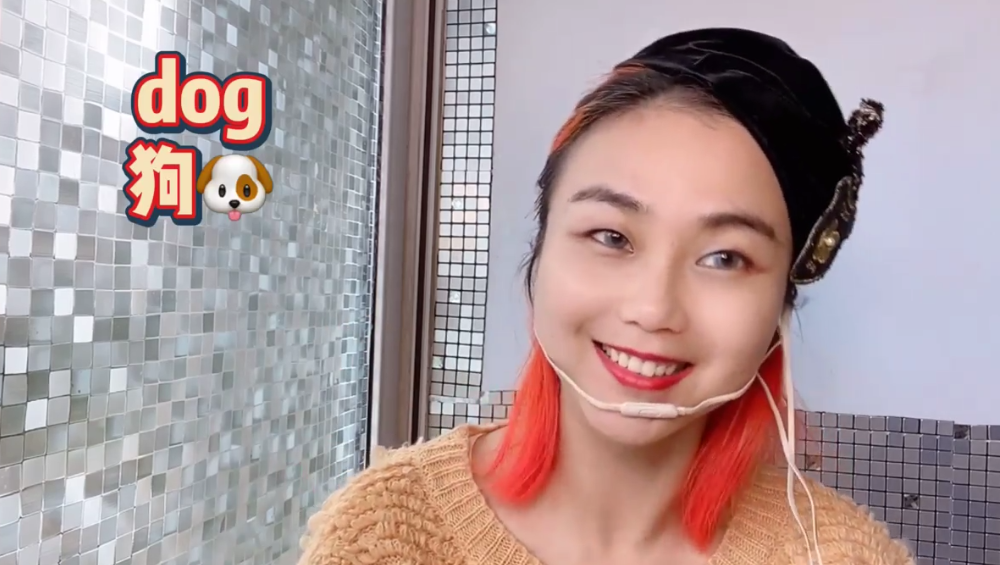 各种动物的英文是什么