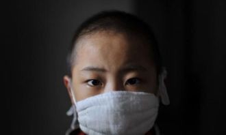 怎么自己在家除甲醛?