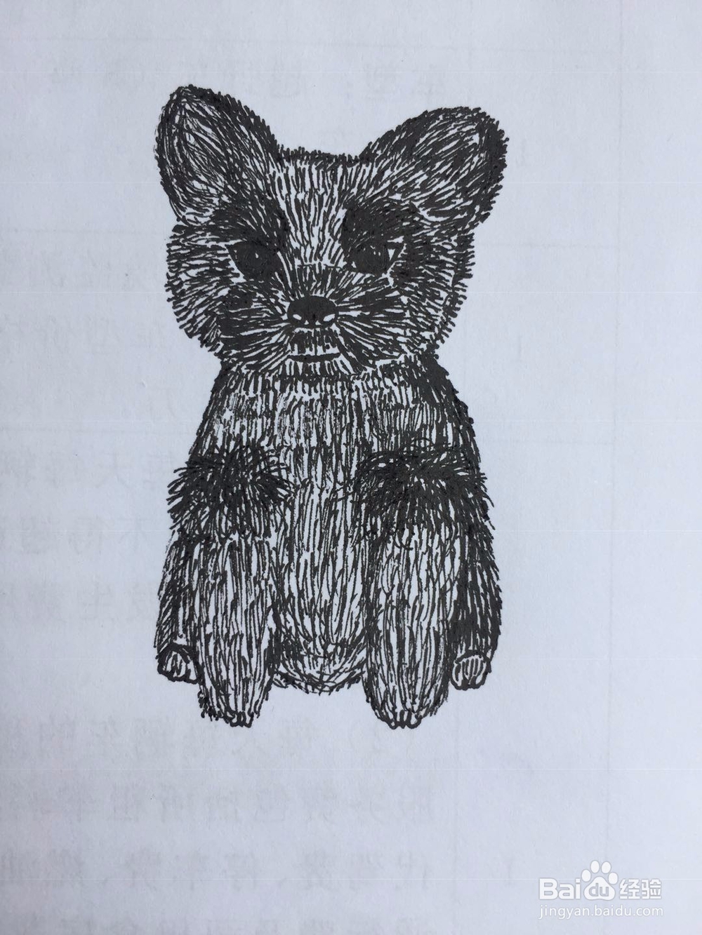 dxdll手绘之雪纳瑞犬