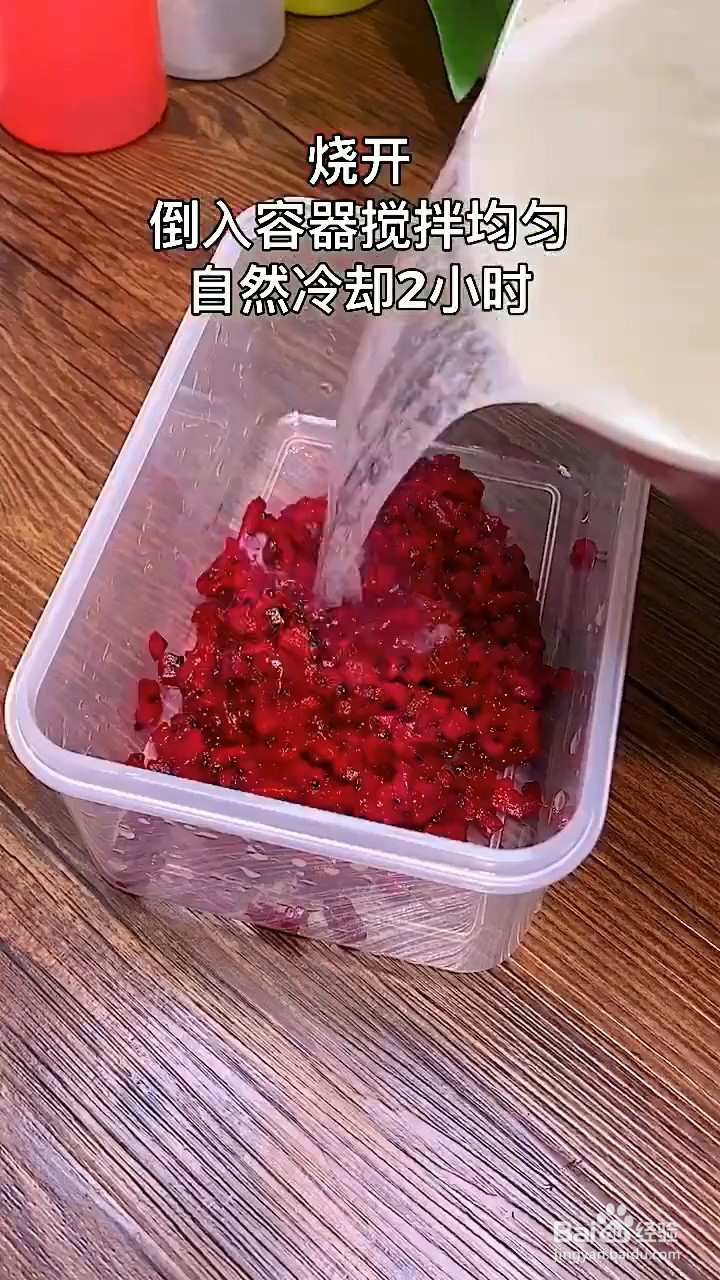 如何制作东北火龙果果冻？