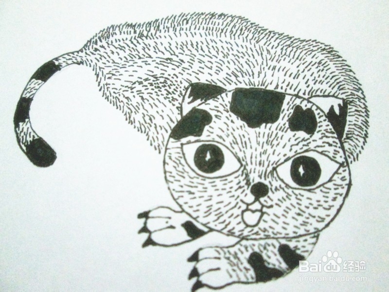 黑白线描画《猫咪》的作画步骤