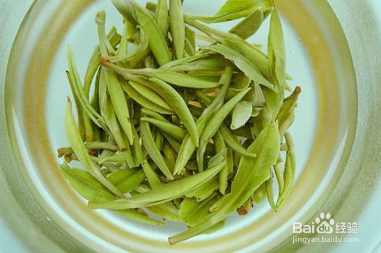 毛尖属于什么茶