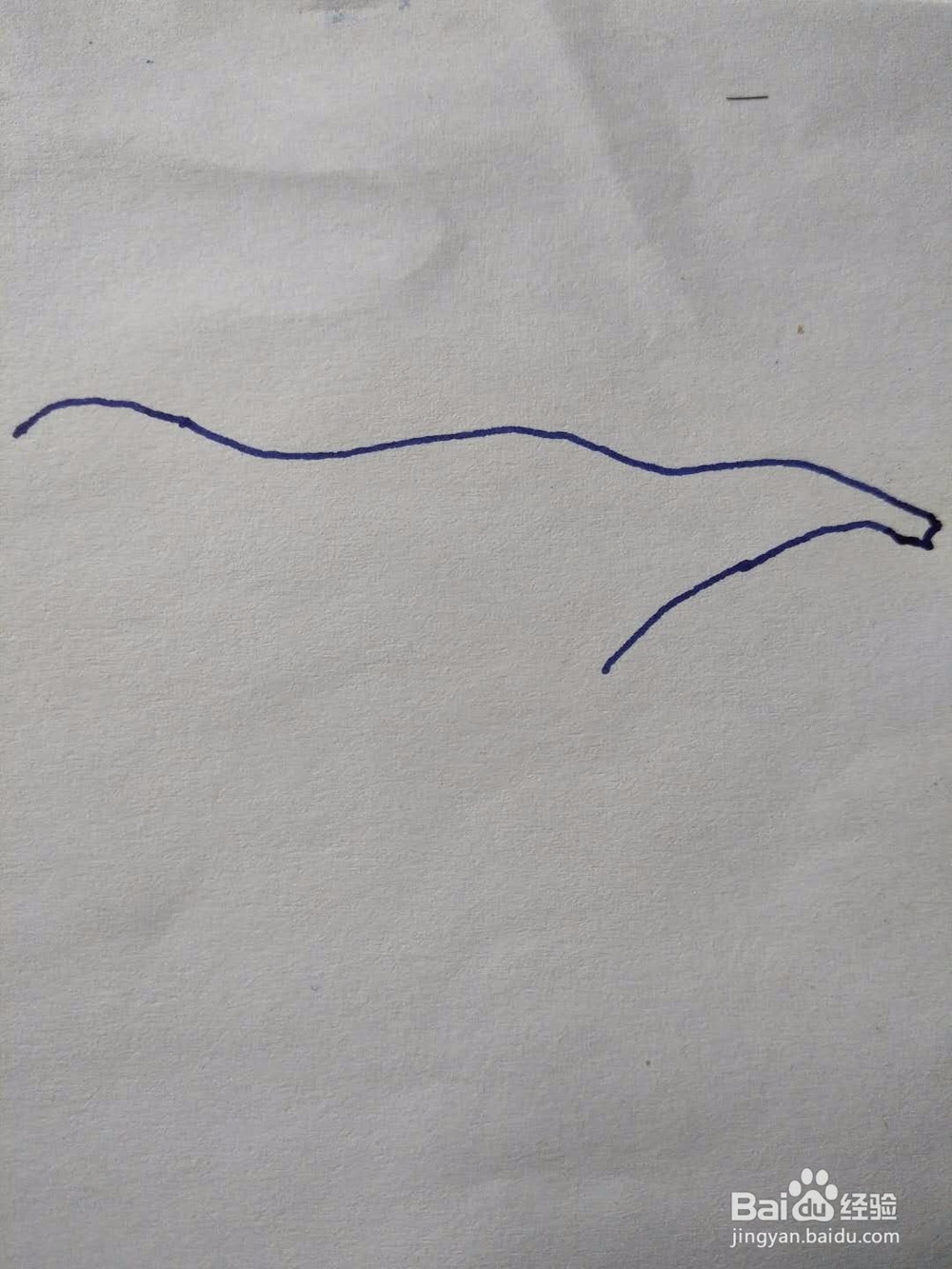 简笔画之食蚁兽