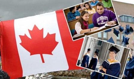 加拿大高考什么时候报志愿