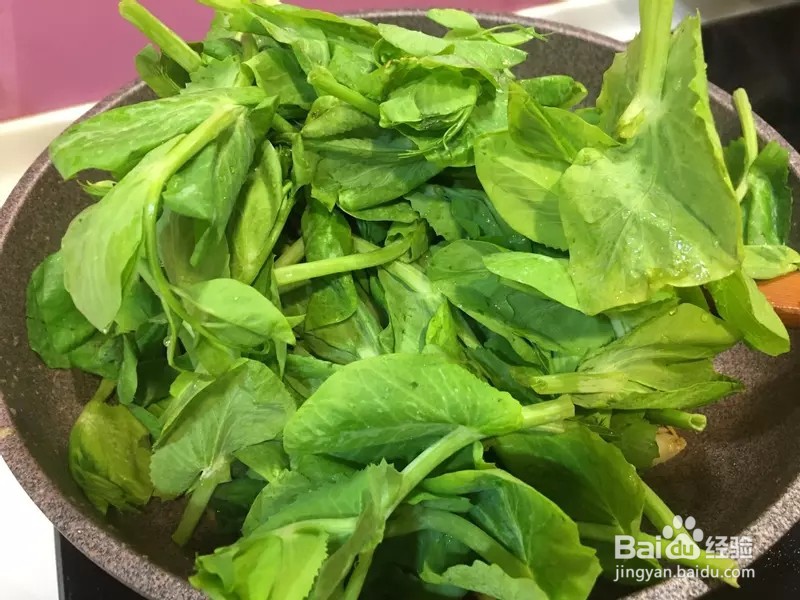 怎样做出家常菜系列之豆苗虾仁