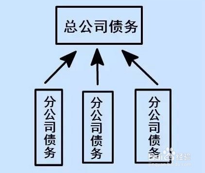 子公司和分公司的区别