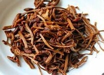 简单又好吃 茶树菇烧排骨