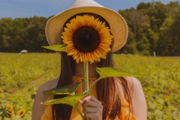 心情压抑,一下子心里有很多的感慨!