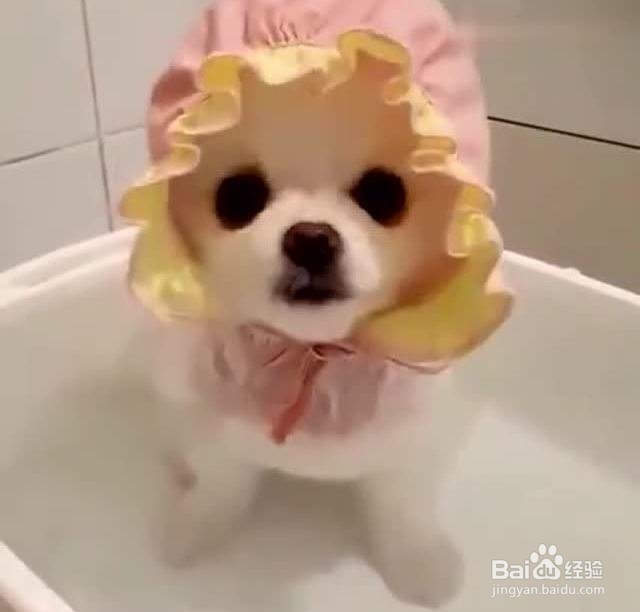 头发经常用夹板,该怎么护理