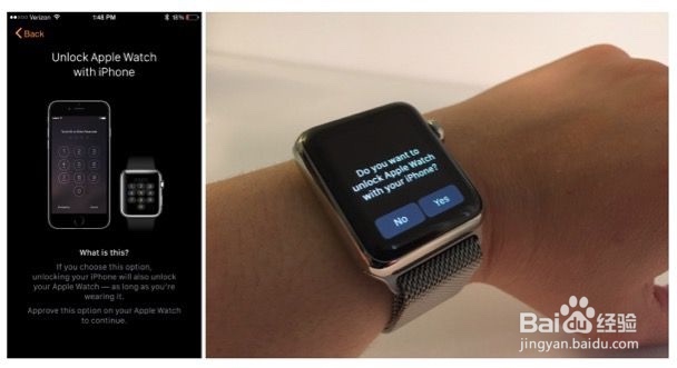 Apple Watch 设置详解 超详细教程(精品)