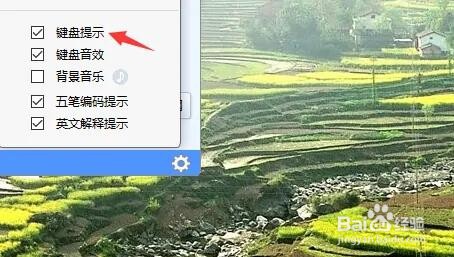 金山打字通怎么开启键盘提示