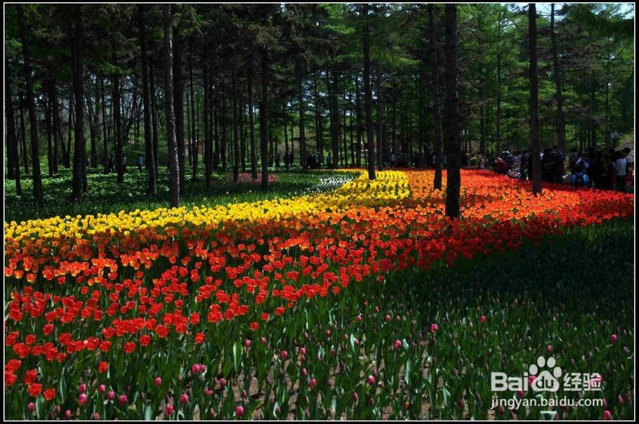 【校园指南】哈尔滨理工南区周边游篇