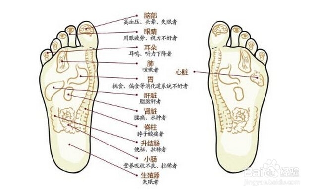 如何按摩脚底穴位呢?