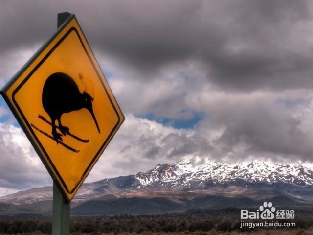 新西兰房车自驾贴士