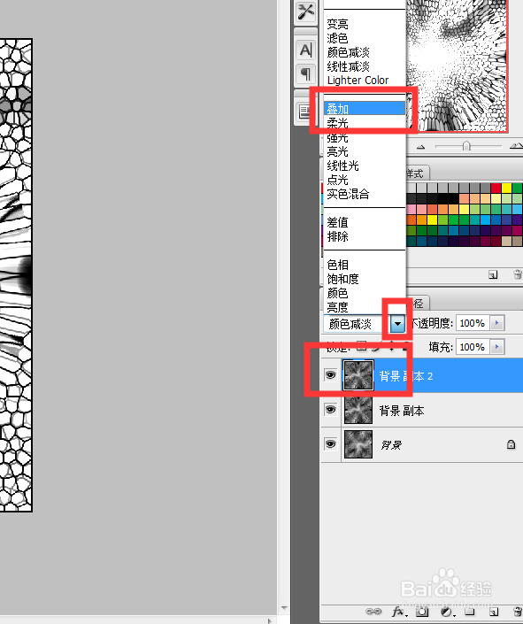 PS如何昆虫翅膀样式的玻璃网格效果