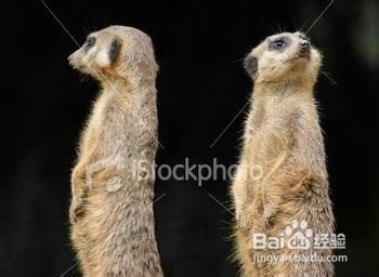 婚姻急诊室？你的婚姻生病了吗？