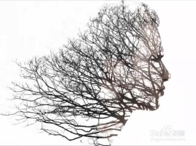 Photoshop飞鸟双重曝光效果