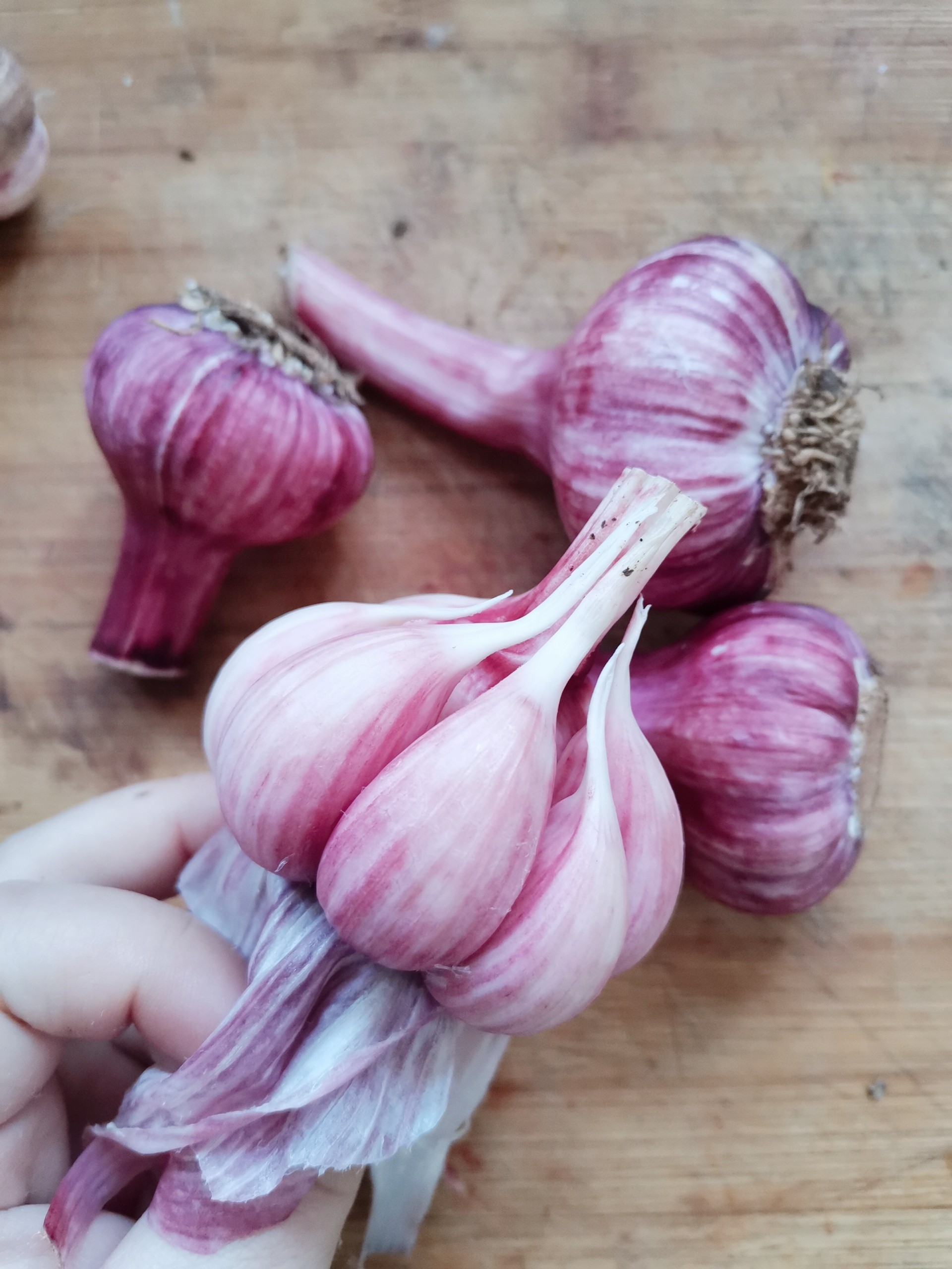 德国人比世界人均寿命高出10岁,他们怎么做到的?4点值得学习