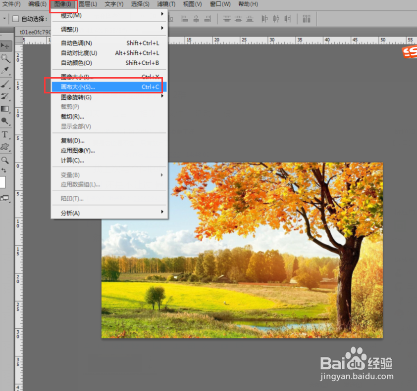 ps给图片加白框