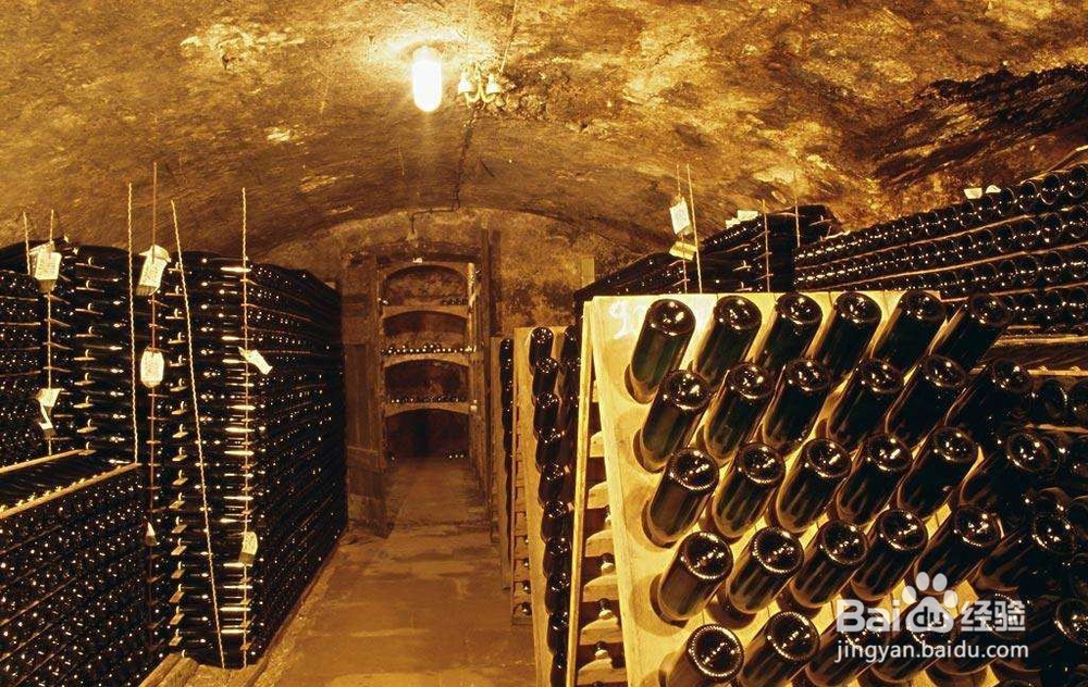 到德国考察都有哪些值得考察的内容