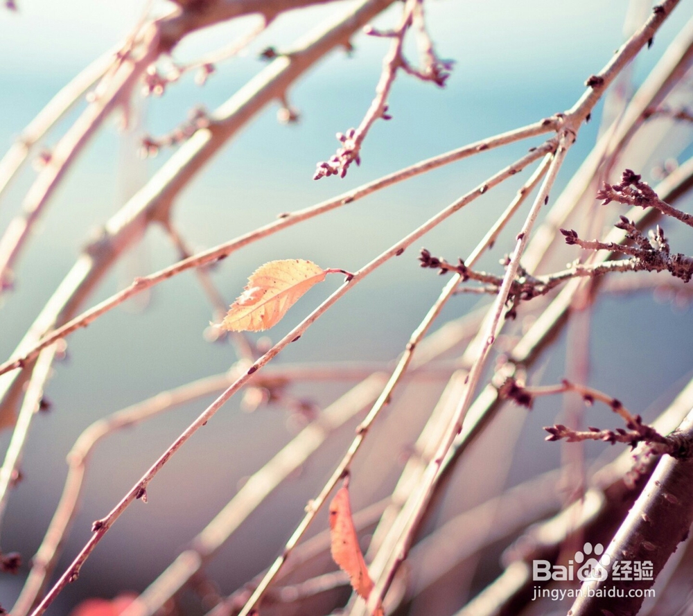 常用生活小妙招