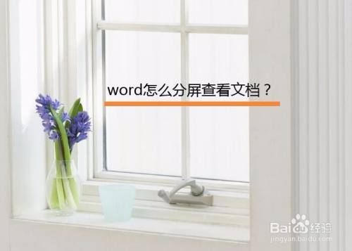 word怎么分屏查看文档