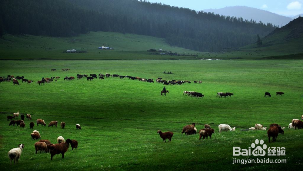 喀纳斯旅游攻略