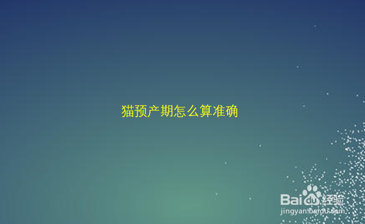 猫预产期怎么算准确