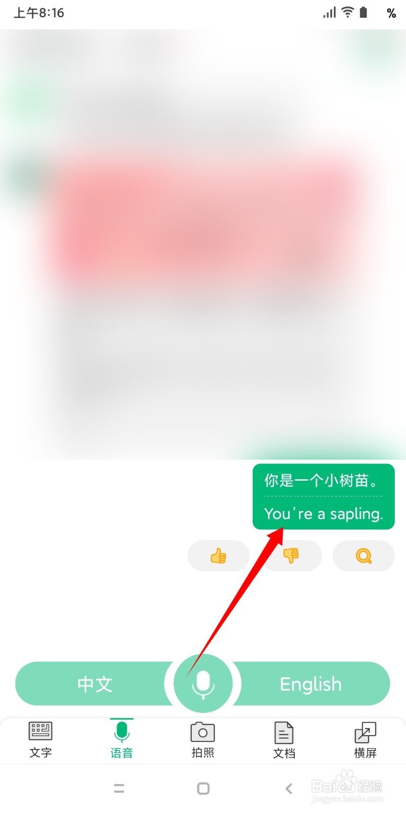 彩云小译如何把中文语音翻译成英文
