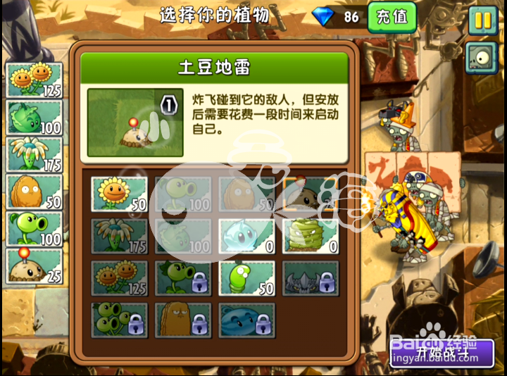 植物大战僵尸2攻略 神秘埃及 第十天一星